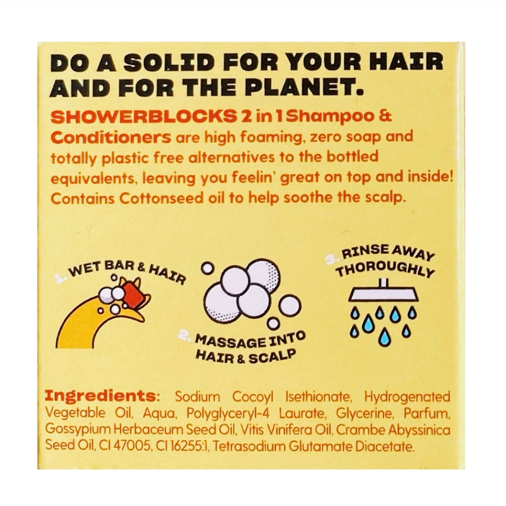 Shower Blocks - Ginger & Honey 2in1 Shampoo & Conditioner – Itchy Scalp - Life Before Plastic